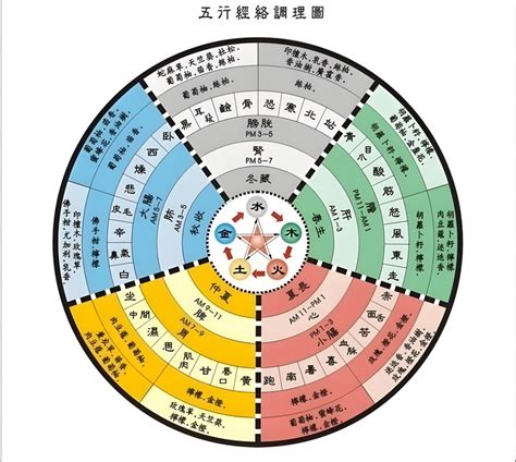 五術入門|五术